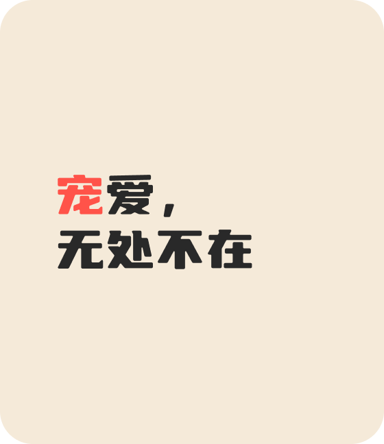 jiangnan江南宠物，无处不在