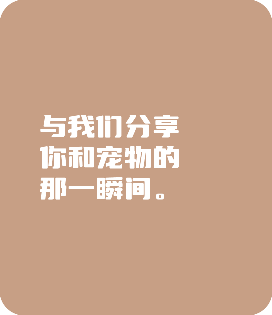 jiangnan江南宠物，无处不在